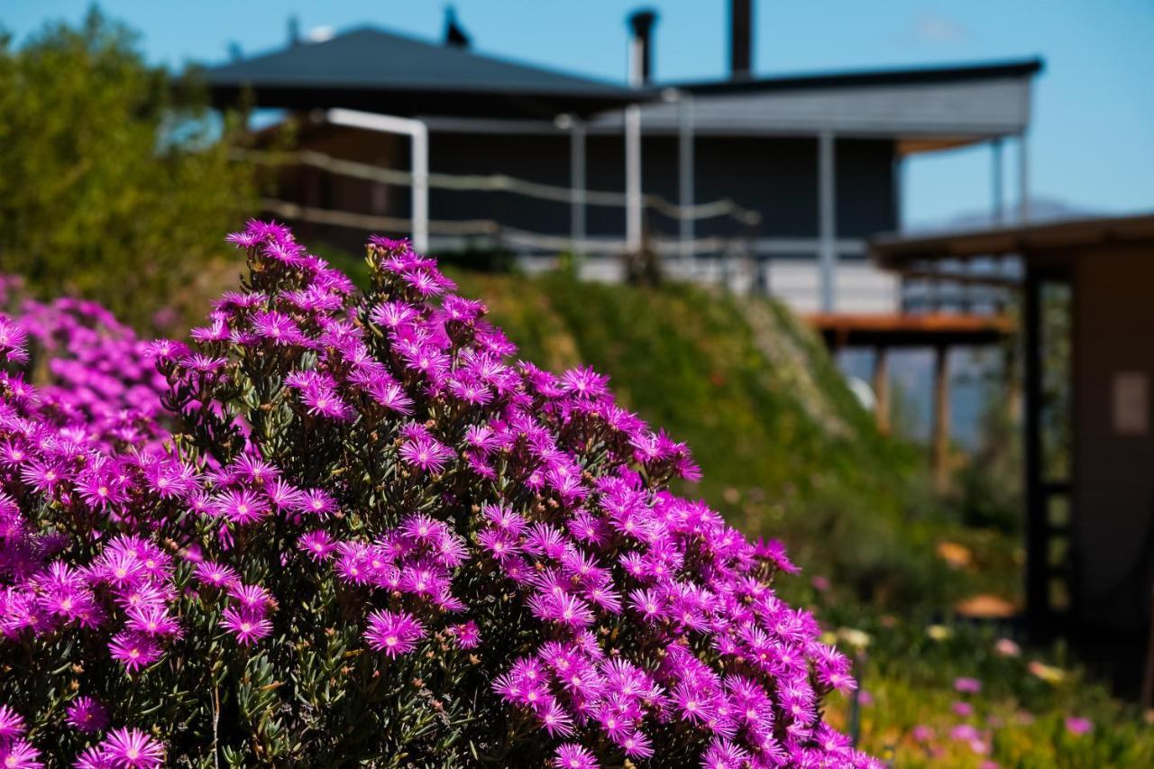 Big Sky Cottages Wolseley Exterior foto